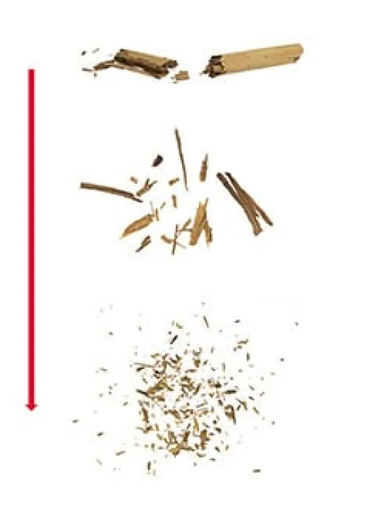 Sale Lanka Cinnamon grinder in stainless steel, 22cm For The Foodie|Speciality Spice Mills